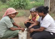 Quilombo do Arapemã