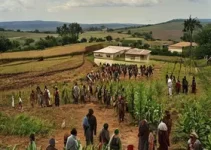 Chamada Pública Santarém