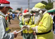 fiscalização ambiental