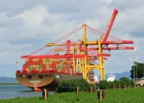 invasão de indígenas