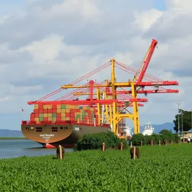 invasão de indígenas