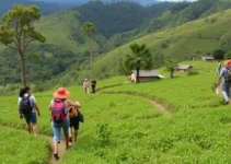 Turismo Rural