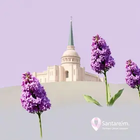 prevenção do câncer de colo de útero