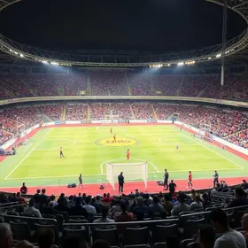 Arena Estadual do Oeste do Pará
