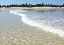 estudo de balneabilidade