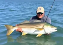 Torneio Municipal de Pesca Amadora de Santarém