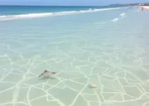 praias de santarém