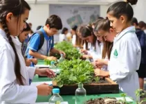 Feira Eco Científica de Santarém