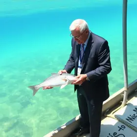 aquicultura em Santarém