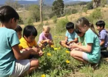 campanha de educação ambiental