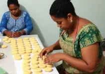 Curso de Biscuit