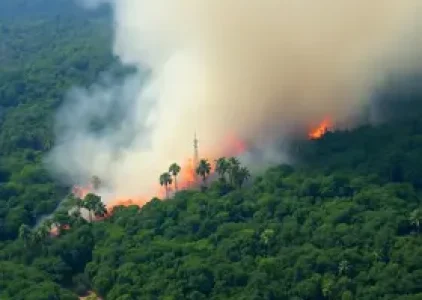 Últimas noticias de Santarém