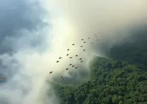queimadas na amazônia