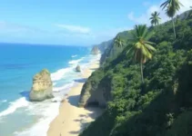 transporte Sairé 2026
