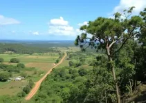 quiltombo do arapemã
