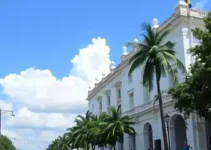 resultados da apuração da votação em Santarém